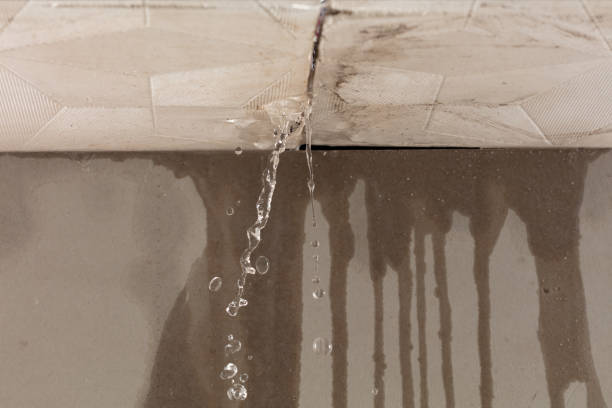 Professional Structural Drying technician working in Elizabethport, NJ